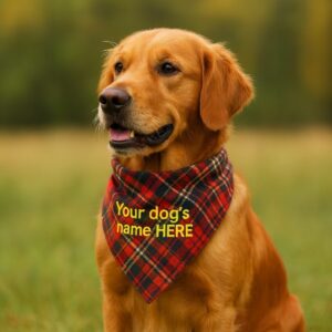 Embroidered tartan dog bandana