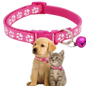 fuchsia pink paw print collar