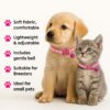 small collar fuschia pink