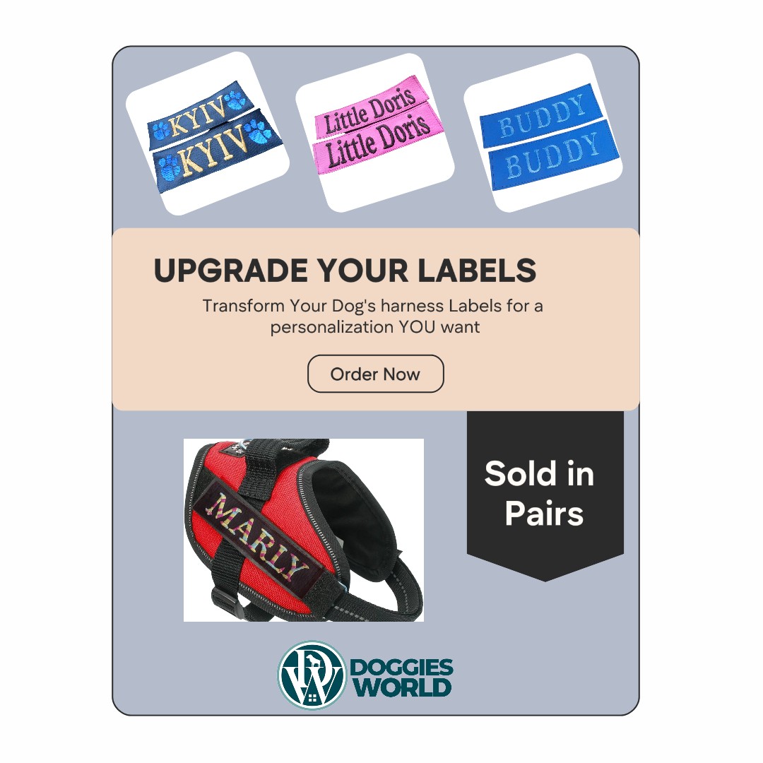 Personalized dog harness labels