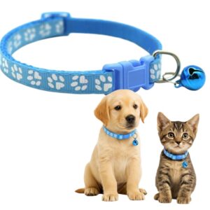 Light Blue paw print collar