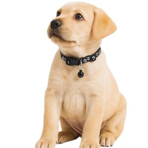 paw print collar black