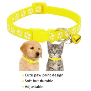 yellow paw print collar