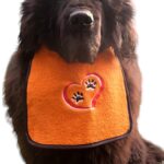 dog bib with heart and paw in 3d