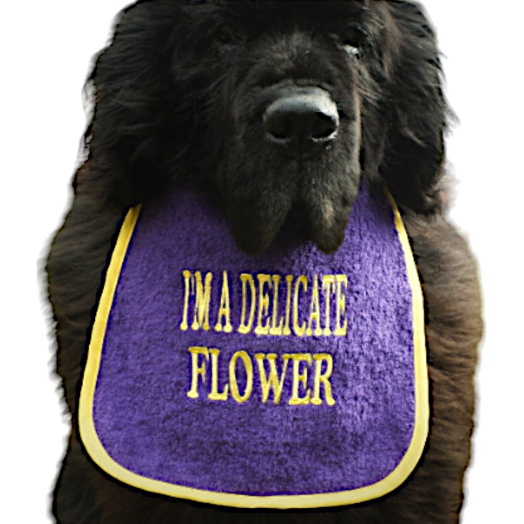 Cute dog bib with delicate flower embroidered