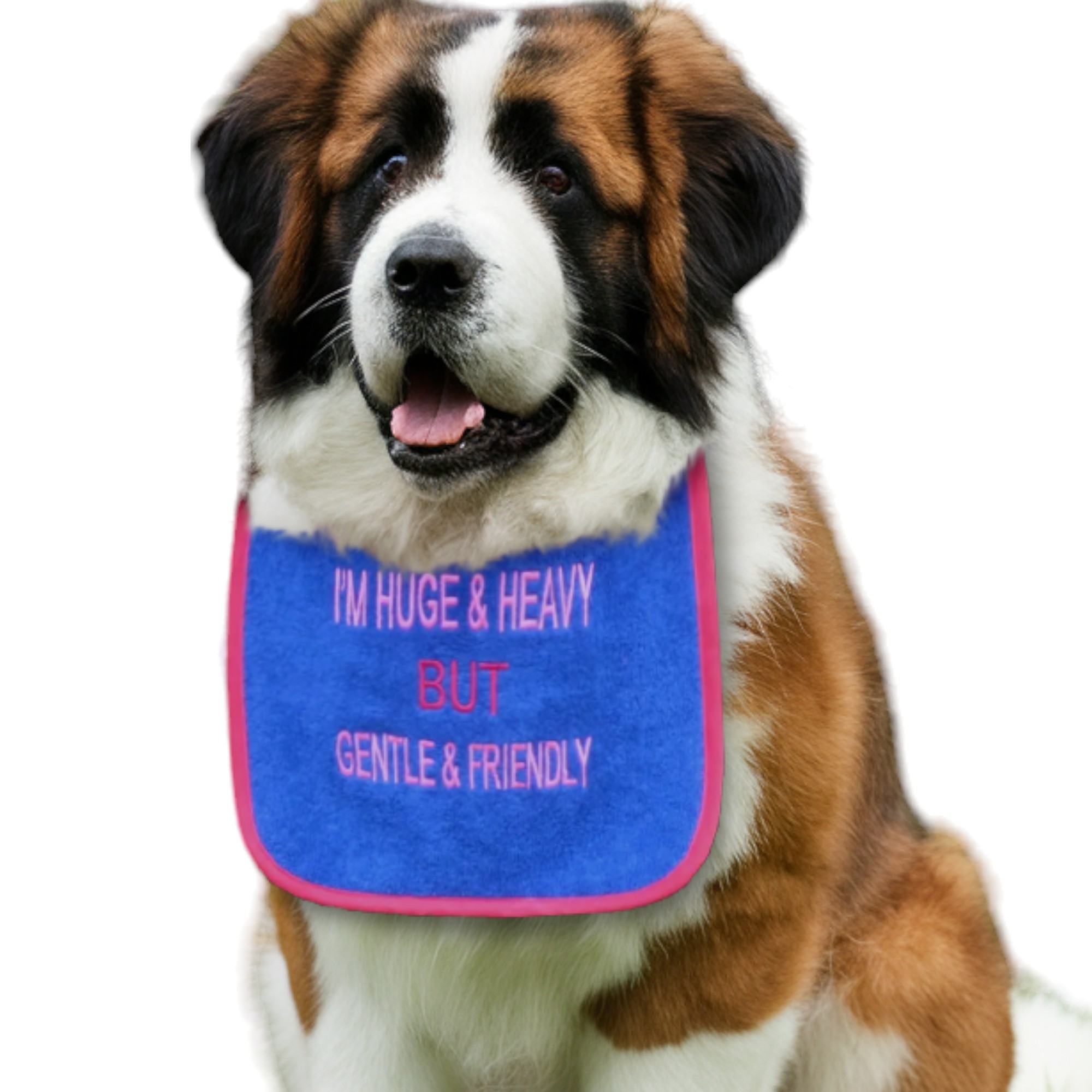 Customized dog slobber bib with wording 'I'm huge and heavy but gentle & friendly'