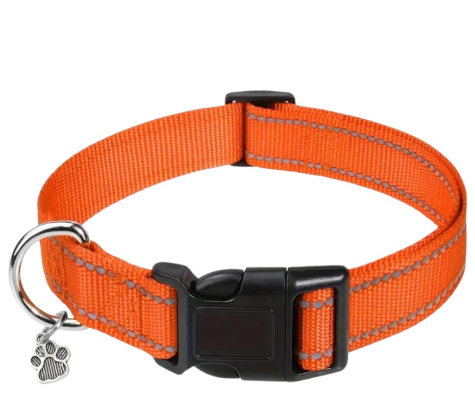 Reflective night walking dog collar- adjustable