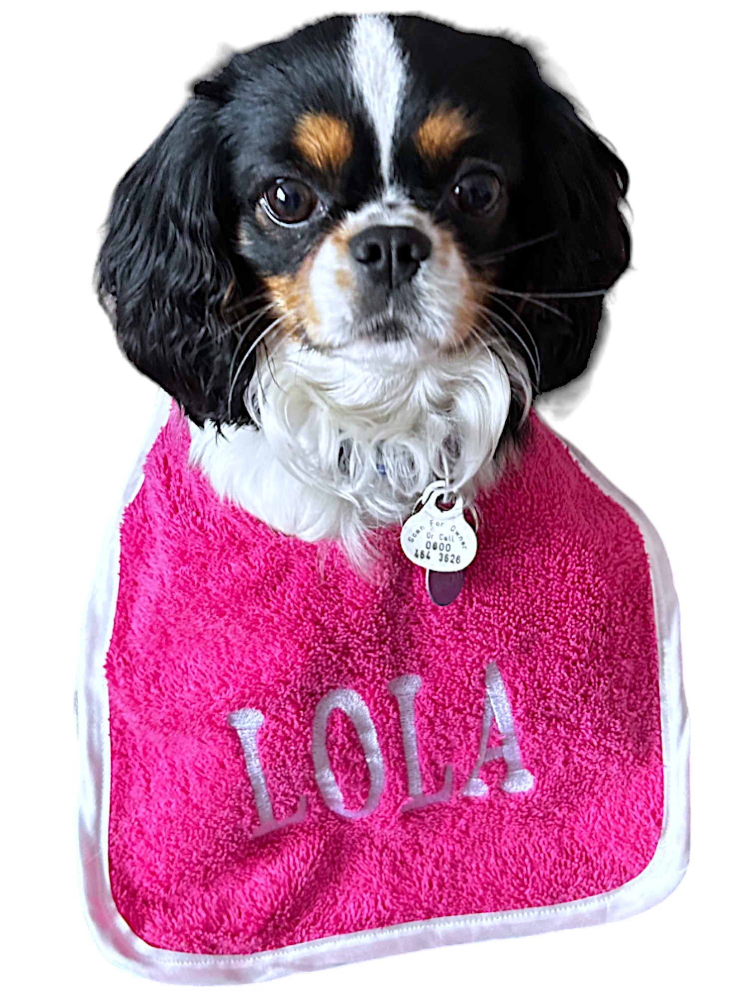 Personalized dog bib for small breeds