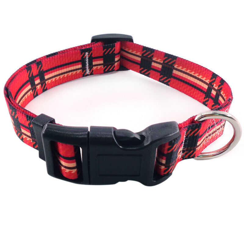 Tartan dog collar adjustable sizes