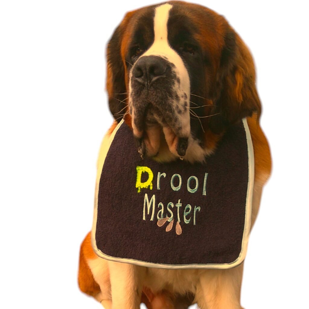 drool master dog bib