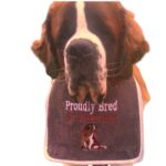 Personalized Saint Bernard dog bib with custom embroidery