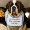 personalised dog bib for large dogs – funny embroidered gift