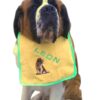 Personalised Saint Bernard Sit Dog Bib
