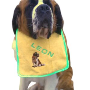 Personalised Saint Bernard Sit Dog Bib