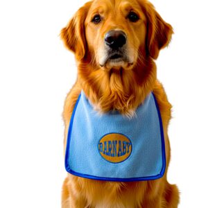 custom name dog feeding bib with round embroidered badge